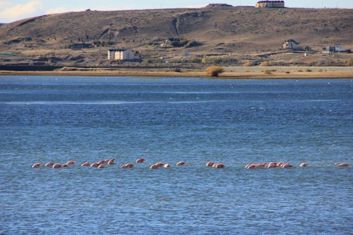 Cabañas Bahía Marina El Calafate Exterior foto